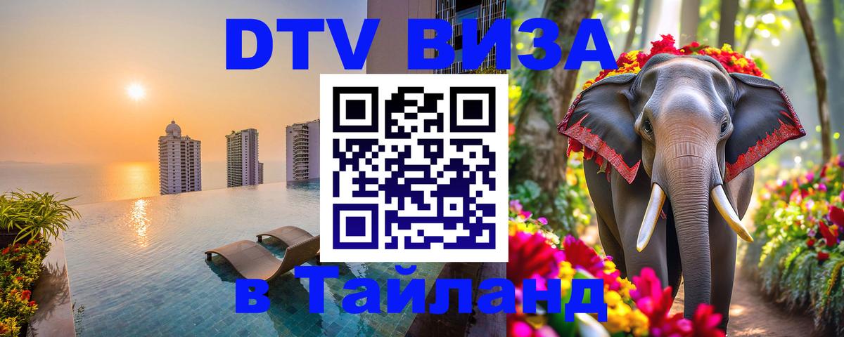 Оформление DTV визы под ключ: стоимость и тарифы, только загранпаспорт - 